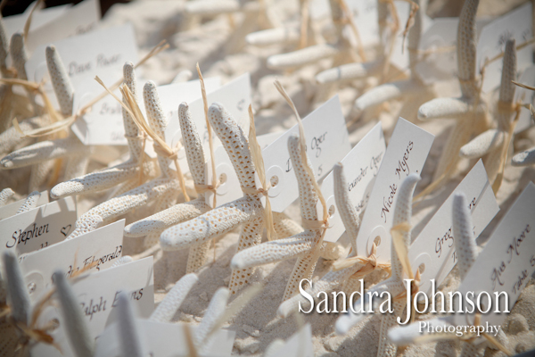 Best Paradise Cove at Buena Vista Watersports in Orlando, Florida wedding photographer - Sandra Johnson (SJFoto.com)